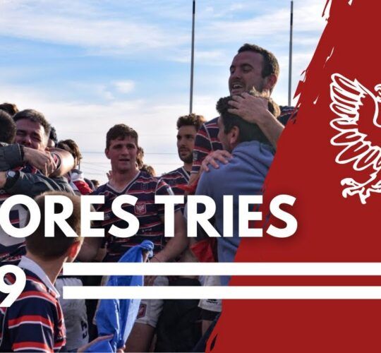 Mejores tries del 2019