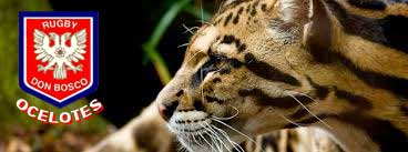 Ocelotes: no es por el felino sino por los botines ;) Ocelotes: no es por el felino sino por los botines ;)